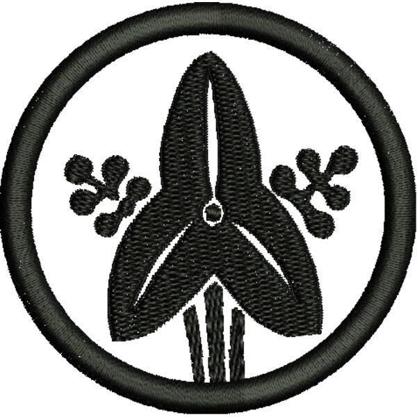 NZ559 Thumbnail